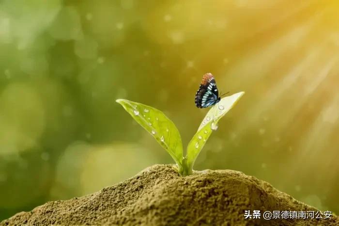 描写春的诗有哪些（春天的古诗大全）
