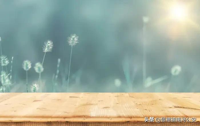 描写春的诗有哪些（春天的古诗大全）