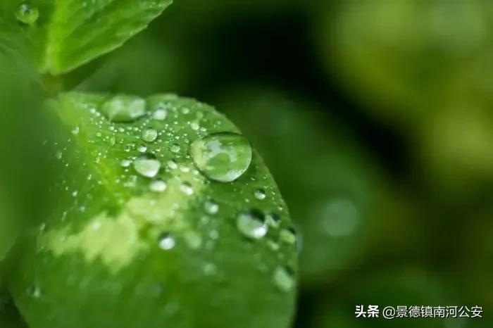 描写春的诗有哪些（春天的古诗大全）