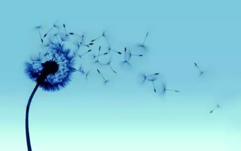 带风的诗句有哪些（描写风的古诗词 ）