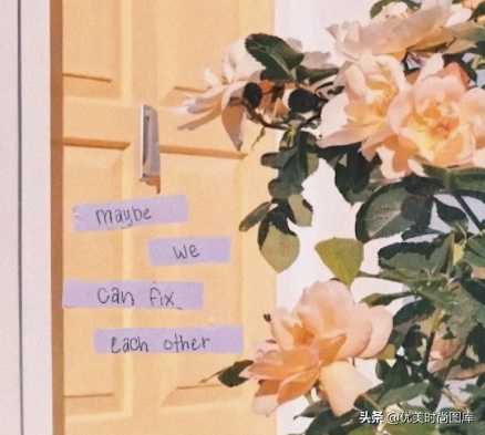 赞美路边野花的句子（野花的文案短句干净）