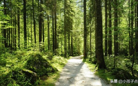 春节古诗有哪些（关于春节的古诗全部）