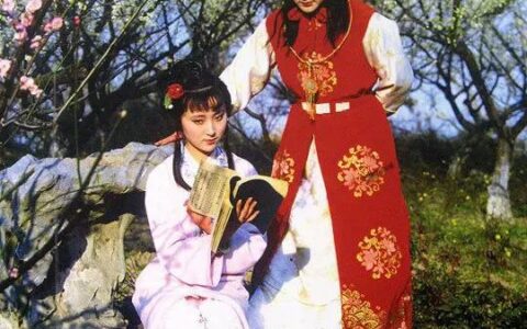 红楼梦好词好句（红楼梦好词好句摘抄及感悟）