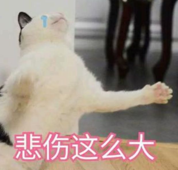 从你的全世界路过经典语录（稻城亚丁最经典的一段话）
