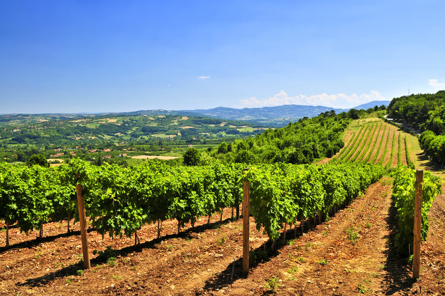 描写夏天的好段摘抄（描写盛夏的优美段落）