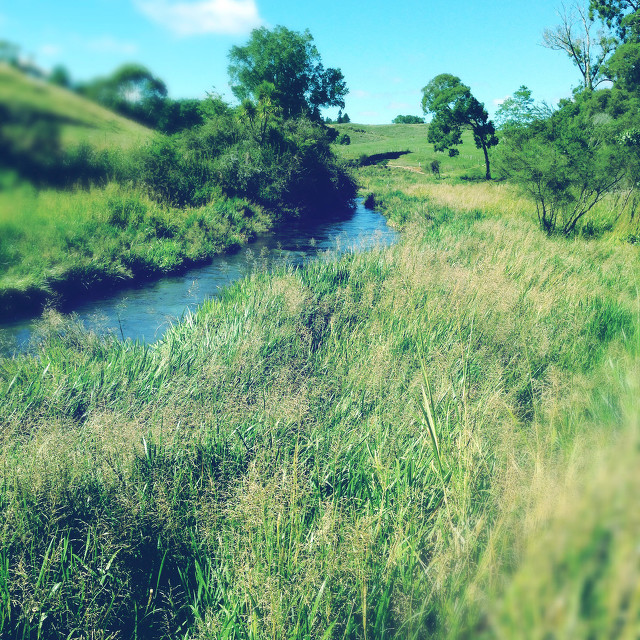 描写夏天的好段摘抄（描写盛夏的优美段落）