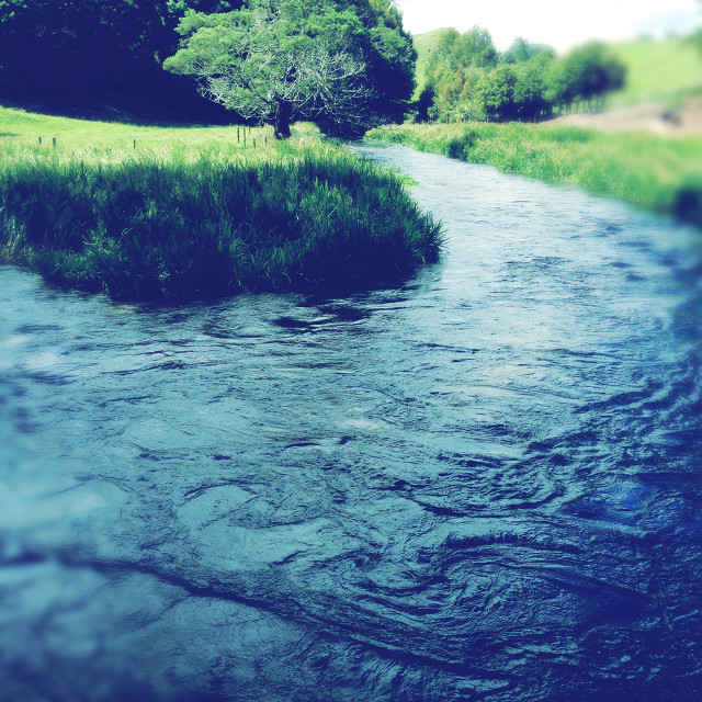 描写夏天的好段摘抄（描写盛夏的优美段落）