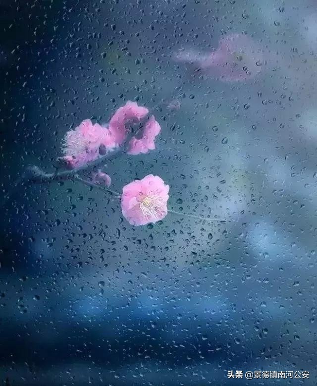 吹面不寒杨柳风全诗（不负春光的唯美句子）