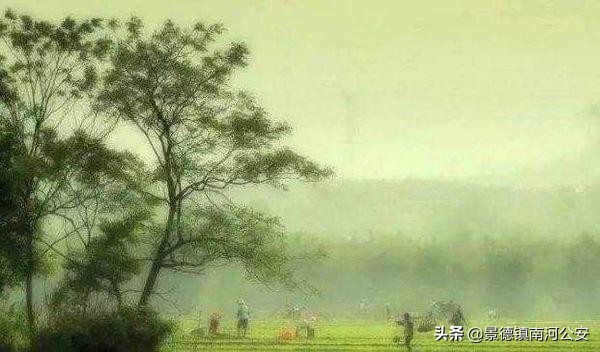 吹面不寒杨柳风全诗（不负春光的唯美句子）