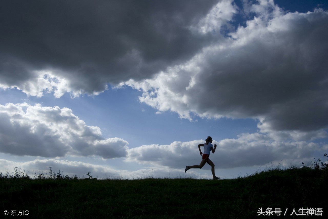 人生像鱼的句子有哪些（人生如鱼的短句大全）