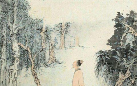 十五夜望月的诗意意思（十五夜望月全文解析）