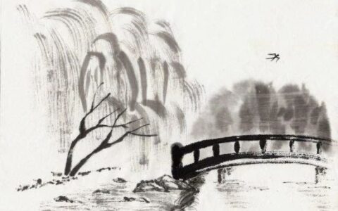 赞美古诗词的魅力（赞美古诗魅力的一句话）