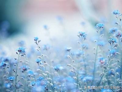 不负时光不负卿意思是什么（带你了解这句话的真实含义）