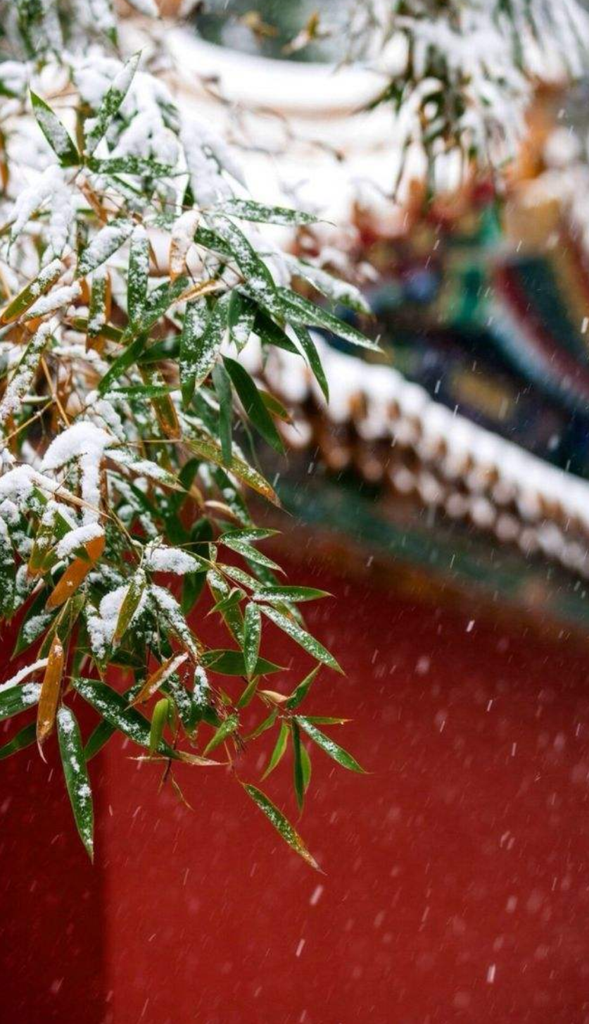 咏雪诗句最著名诗句（比喻咏雪的诗句）