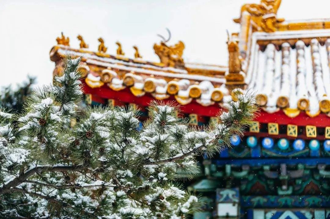 咏雪诗句最著名诗句（比喻咏雪的诗句）
