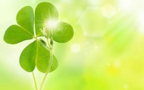 关于爱情的短句（浪漫爱情句子短句）