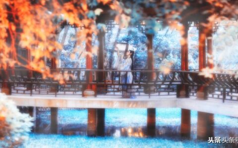 浪漫情诗古代诗（古代浪漫的爱情诗句）