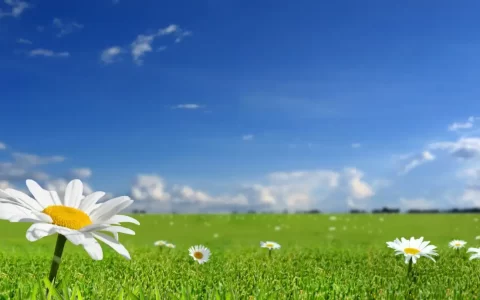 描写春天的词句怎么写（春意盎然的唯美句子）