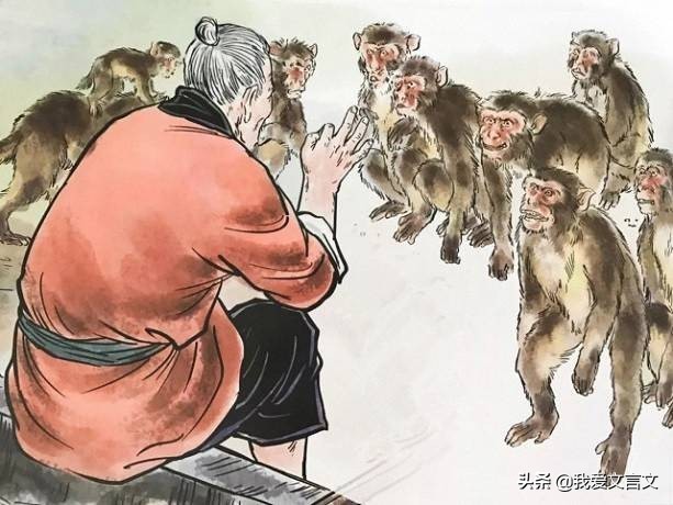朝三暮四文言文翻译（朝三暮四的寓意和道理）