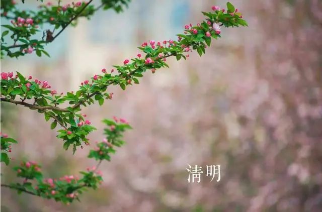 愿逝者安息的诗句（十首诗词送君还乡）