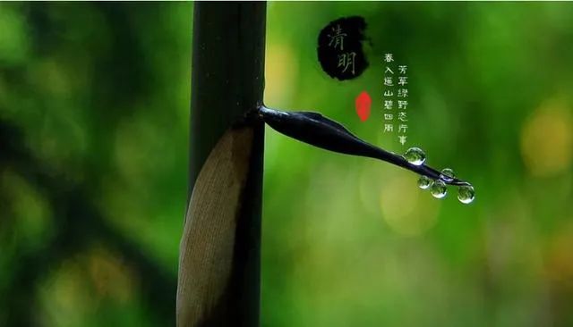愿逝者安息的诗句（十首诗词送君还乡）