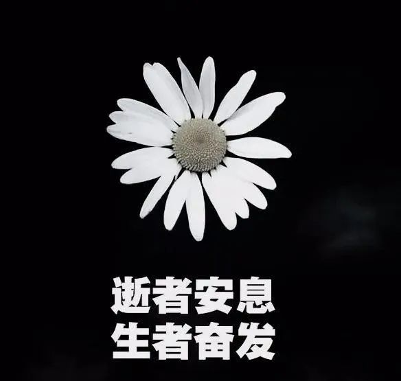 愿逝者安息的诗句（十首诗词送君还乡）