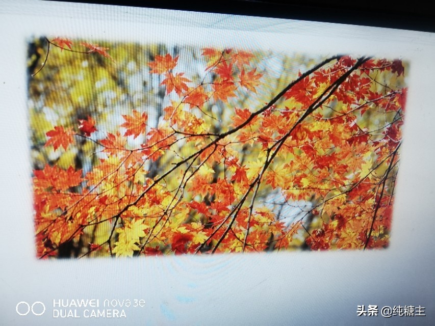 山行是什么季节的诗句（古诗山行是哪个季节的）