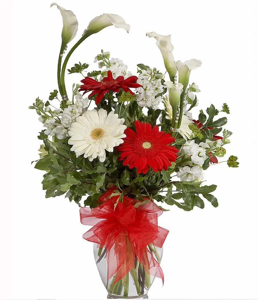 闻官军收河南河北拼音版（注音版及解释）