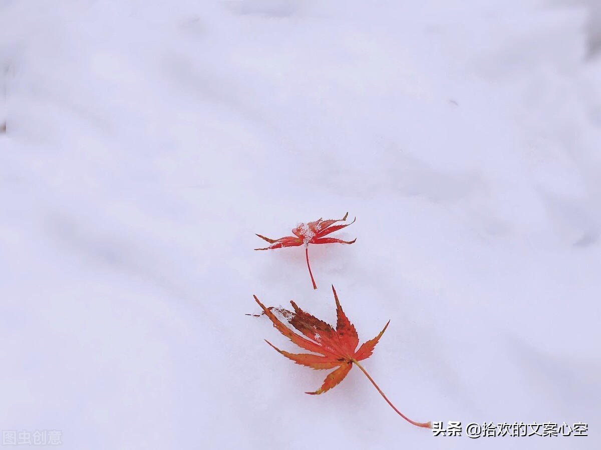 苍山负雪明烛天南赏析（登泰山记原文翻译）
