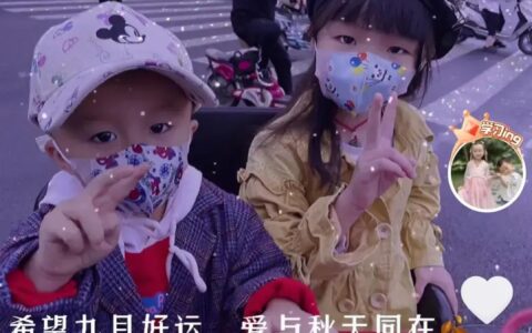 山木诗词全集原文（很小众却很惊艳的诗）