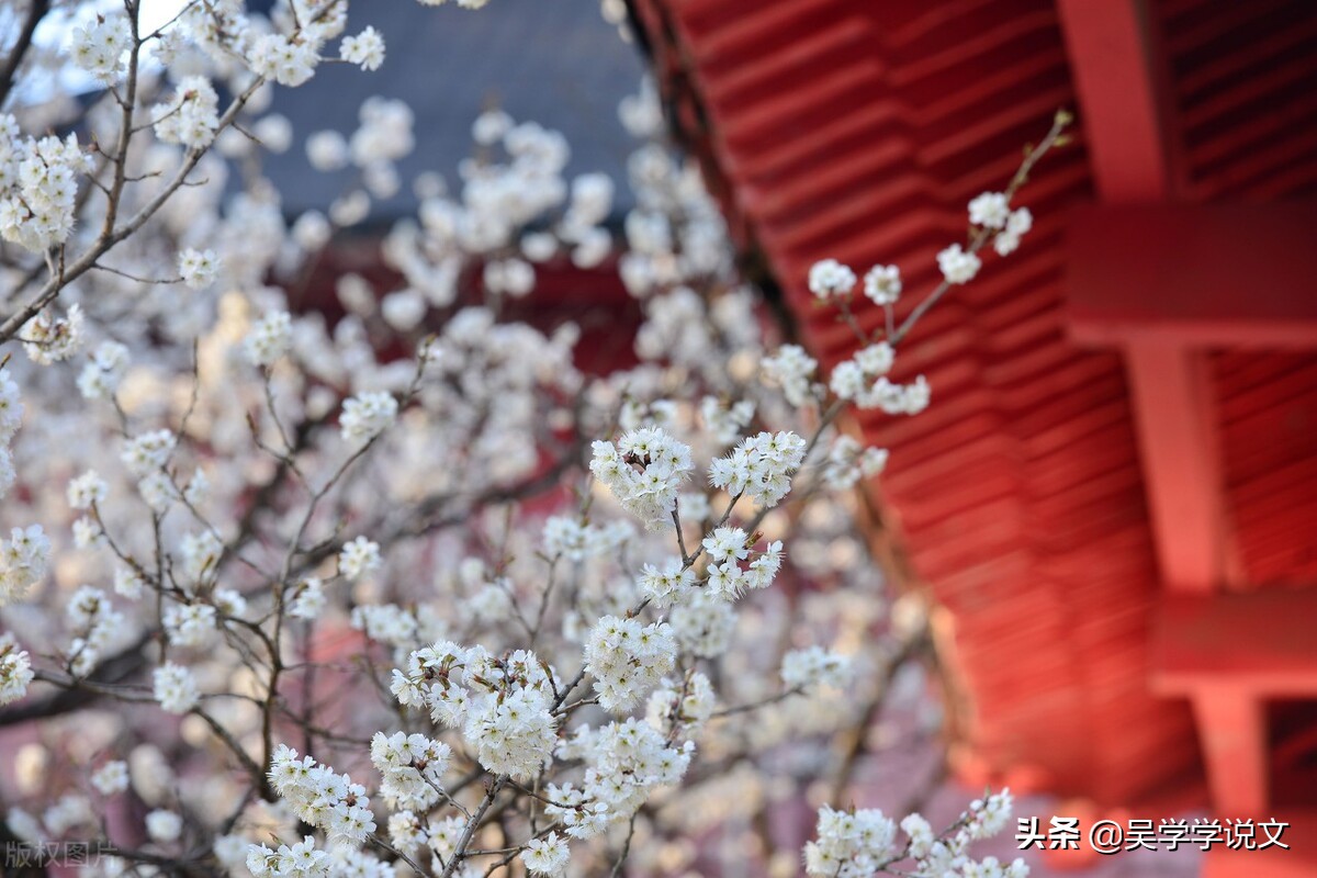 赞美春天诗句（描写春天的优美短句）