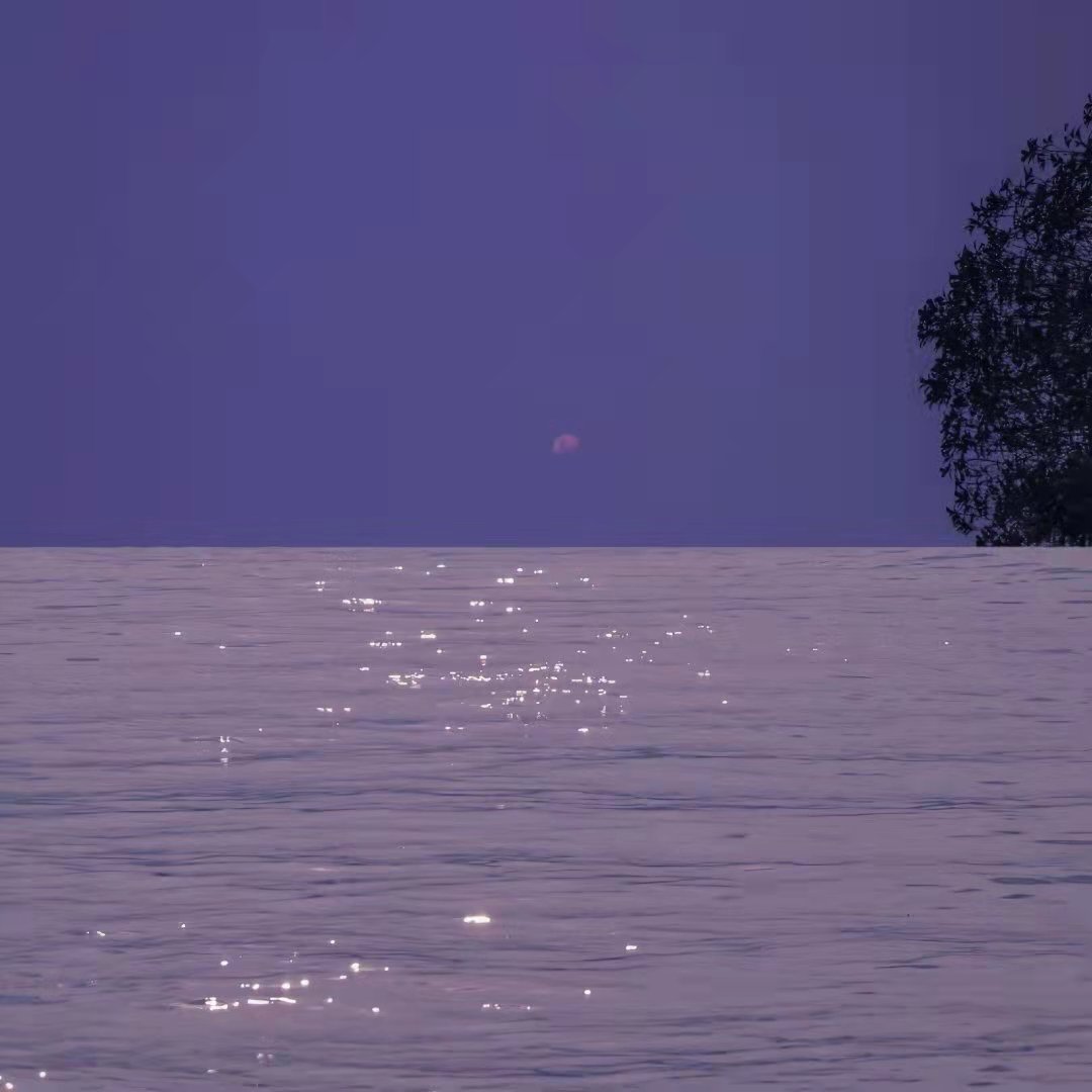 时光飞逝的短句唯美（感叹时光流逝的句子）