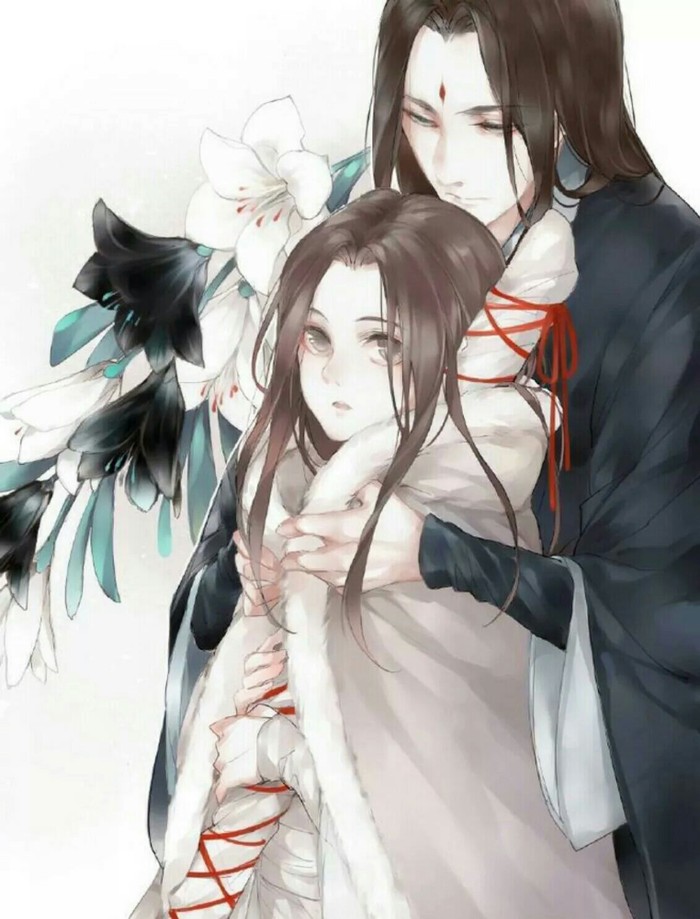 周南关雎原文及翻译（关关雎鸠全文朗诵）