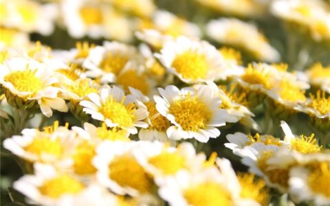 五一劳动节祝福好句（关于五一劳动节的一些话）