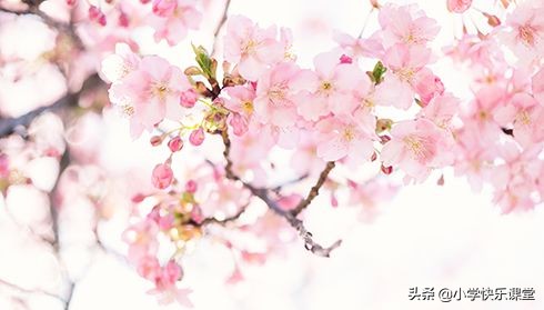 四季的成语春夏秋冬（关于四季景色的成语大全）