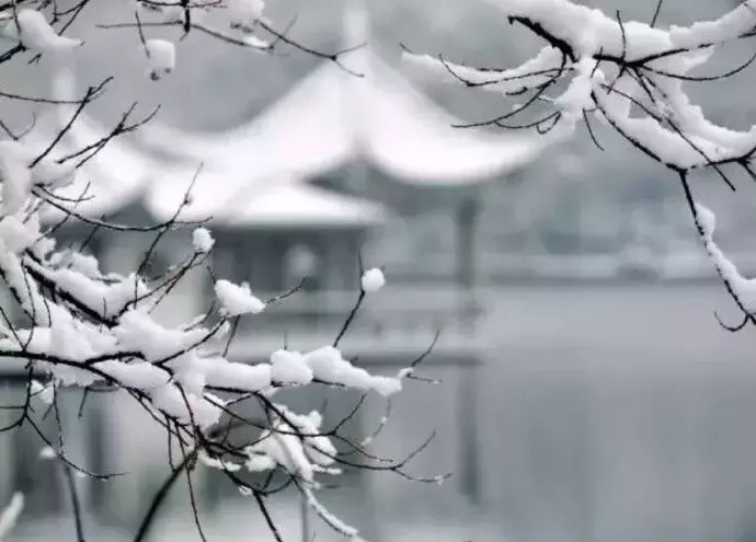 冬至诗句经典古诗（描写冬至的优美诗句）