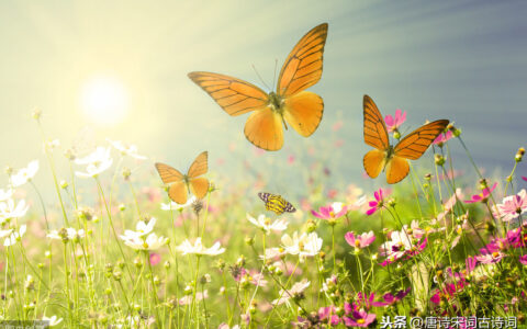 王昌龄的爱国诗（王昌龄抒发爱国之情的诗句）