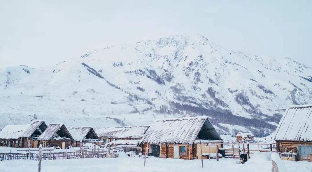 关于思念家乡的诗句古诗（表达思乡思亲的诗句）