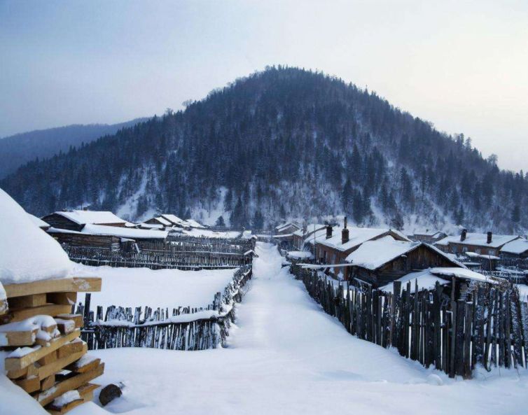 关于思念家乡的诗句古诗（表达思乡思亲的诗句）