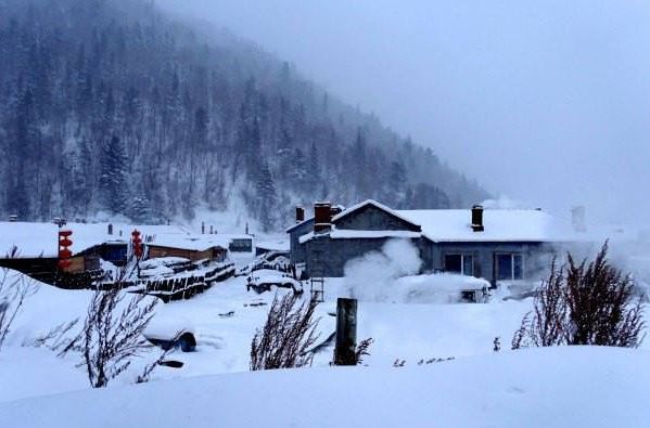 关于思念家乡的诗句古诗（表达思乡思亲的诗句）