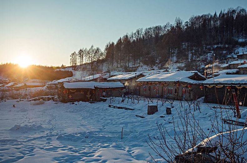 关于思念家乡的诗句古诗（表达思乡思亲的诗句）