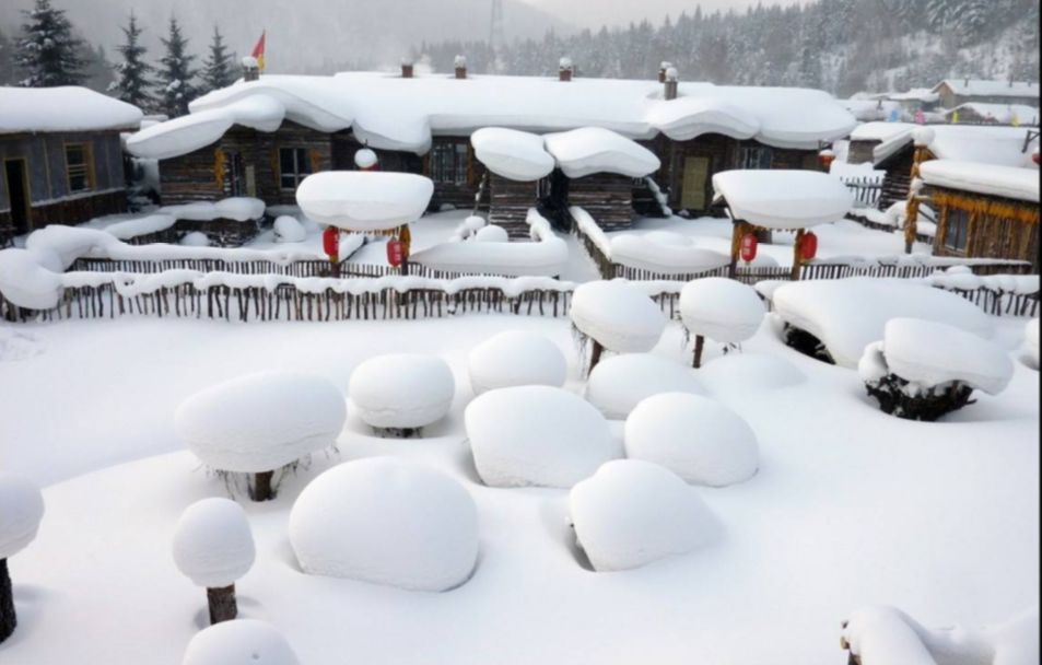 关于思念家乡的诗句古诗（表达思乡思亲的诗句）