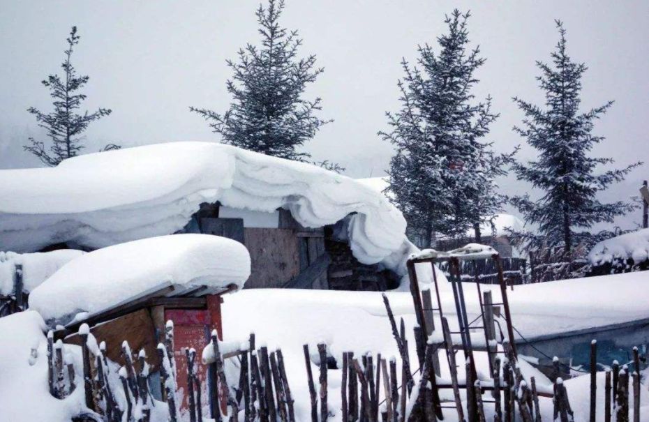 关于思念家乡的诗句古诗（表达思乡思亲的诗句）