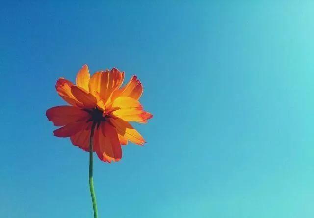 形容年轻有朝气的句子词语（赞扬青少年朝气的句子）