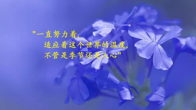 形容年轻有朝气的句子词语（赞扬青少年朝气的句子）