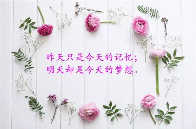 形容年轻有朝气的句子词语（赞扬青少年朝气的句子）