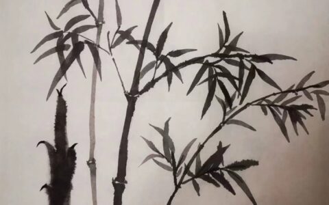 何晏七岁文言文翻译（世说新语何晏七岁翻译及原文）