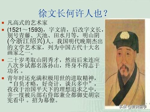 徐文长传原文及翻译（徐文长传文言文阅读答案）