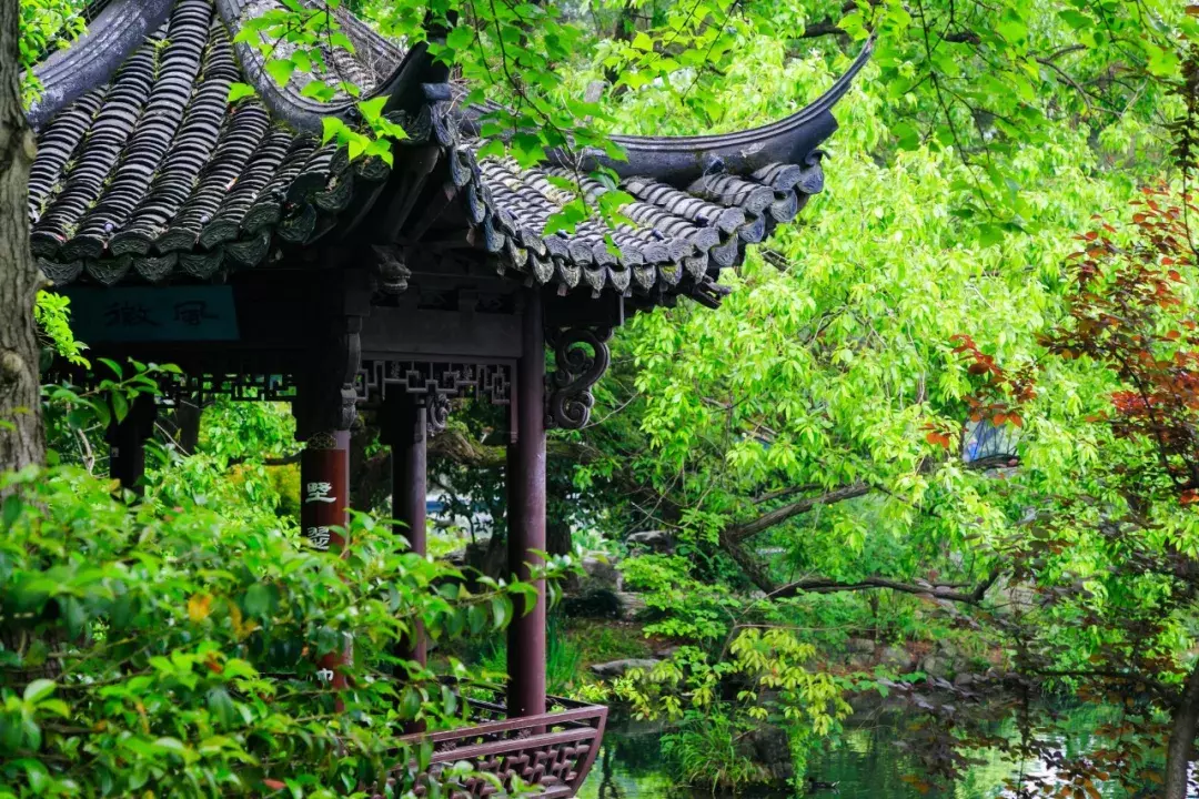 春景诗句有哪些（春景诗大全10篇）