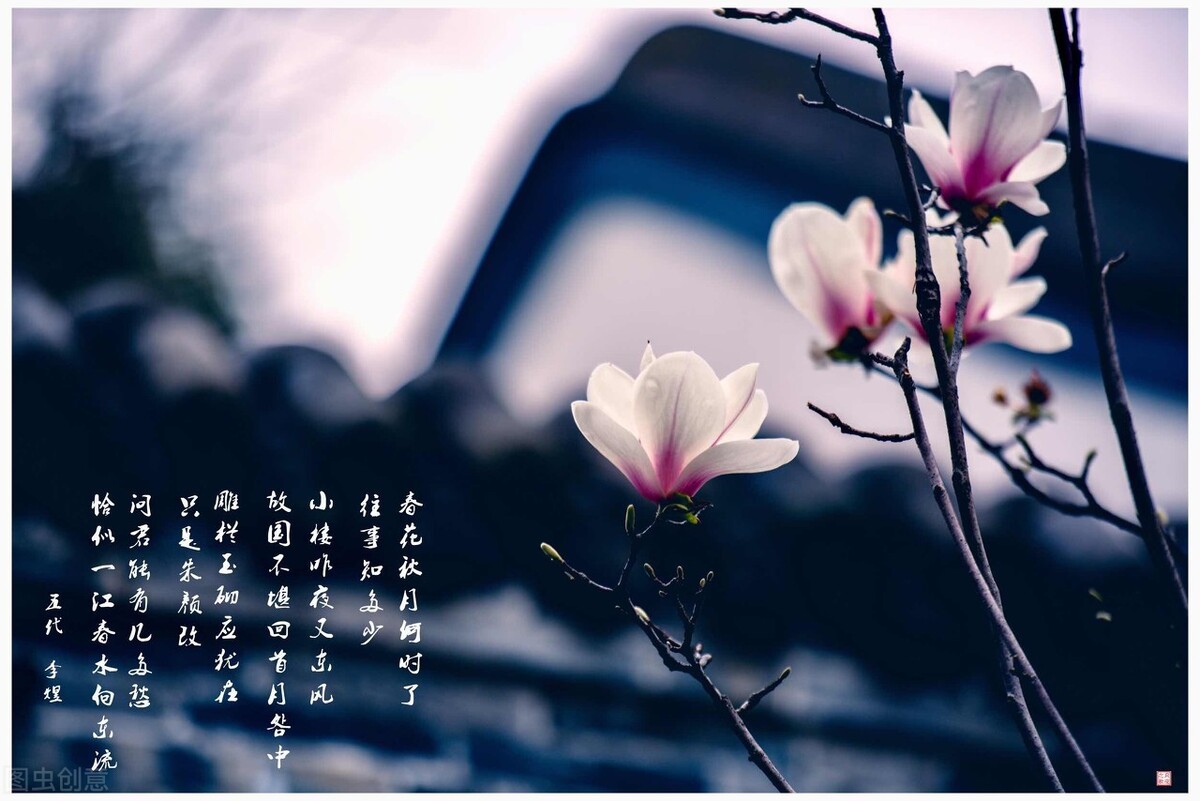 形容菊花的词语有哪些（赞美菊花的佳句）